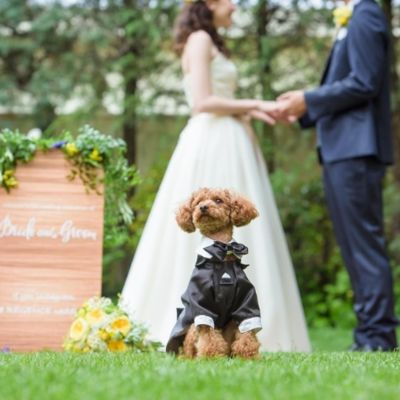 【ペットウェディング相談会♪】家族である愛犬と過ごす結婚式☆